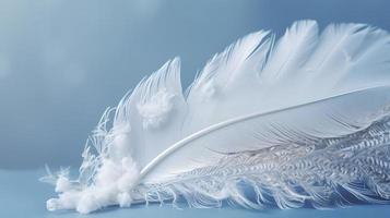 White feather Stock Photos, Royalty Free White feather Images