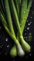 Fresh Leek on a white background, adorned with glistening droplets of water. Top down view, generate ai photo