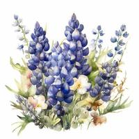 bouquet of bluebonnets watercolour with blank white background, generat ai photo