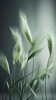 There are some green wheat stalks swaying in the wind, set up in a studio as a background for cosmetic products, generate ai photo