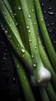 Fresh Leek on a white background, adorned with glistening droplets of water. Top down view, generate ai photo