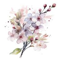 cherry blossoms flower arrangment, in the style of ornamental watercolour, blank white background, generat ai photo