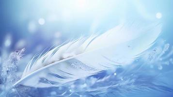 a bright blue background with one white feather, in the style of soft and dreamy pastels, glimmering light effects, nature inspired imagery, fairycore, soft focal points, generate ai photo