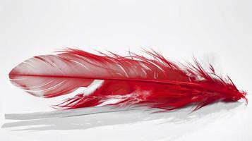 an old red feather which is drawn on a white background, in the style of light red and light pink, sketchfab, -translucent medium, bold colours, generat ai photo