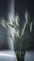 There are some green wheat stalks swaying in the wind, set up in a studio as a background for cosmetic products, generate ai photo