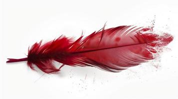 an old red feather which is drawn on a white background, in the style of light red and light pink, sketchfab, -translucent medium, bold colours, generat ai photo