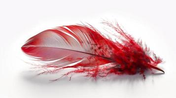 an old red feather which is drawn on a white background, in the style of light red and light pink, sketchfab, -translucent medium, bold colours, generat ai photo
