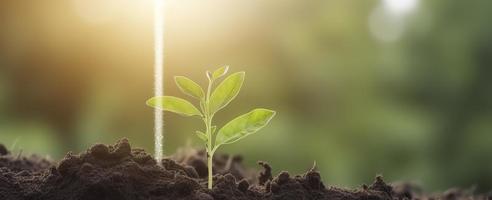 Photo doing csr by planting trees, csr concept and business planting saplings of trees, generat ai