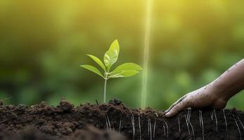 Photo doing csr by planting trees, csr concept and business planting saplings of trees, generat ai