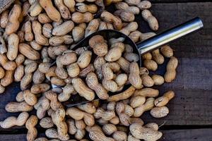 bag and shovel bucket with bulk peanuts photo