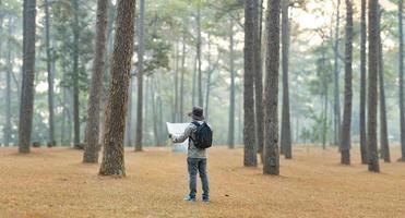 asiático naturalista mirando a el mapa para dirección mientras explorador fauna silvestre en el pino bosque para topografia y descubriendo el raro biológico diversidad y ecologista en el campo estudiar concepto foto