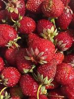 un apilar de fresas foto