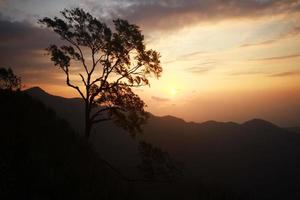 hermosa silueta solo árbol y paisaje Valle de montaña con niebla y niebla en invierno de amanecer brillante en el cielo foto