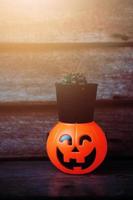 Cactus in black pot on halloween pumpkin head with golden light in dark night bakckground. Halloween holiday concept. photo