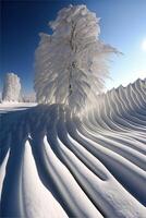 snow covered tree sitting on top of a snow covered slope. . photo