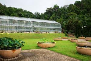 Greenhouse and conservatory at Queen Sirikit Botanic Garden and Arboretum, Climber trail for study about Various plant species. photo