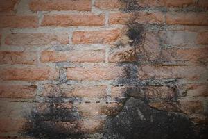 Grunge and old Construct wall with cement and brick on home, construction background concept. photo
