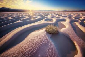 plant that is sitting in the sand. . photo