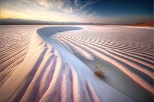 plant that is sitting in the sand. . photo