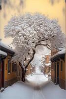 tree in the middle of a snowy street. . photo