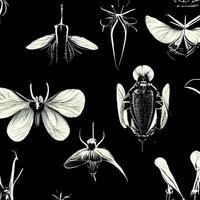 collection of insects on a black background. . photo