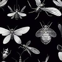 collection of insects on a black background. . photo
