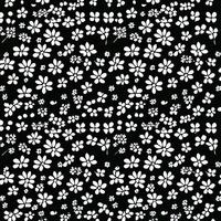 pattern of white flowers on a black background. . photo