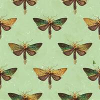 group of moths sitting on top of a green surface. . photo