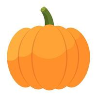 Pumpkin on white background, vector illustration