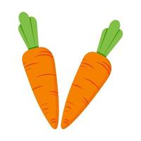 Carrot illustration isolated on white background vector