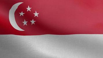 National Flag of Singapore, Seamless loop Singarpore flag animation. A beautiful view of Singapore flag video. 3d flag waving video. Singapore HD resolution. video