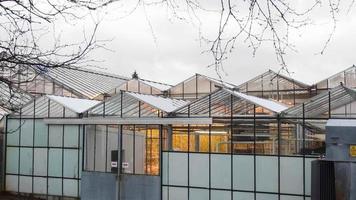 South Iceland, 2023  - Tomato greenhouse building from outside.Fridheimar - visitors friendly tomato farm.Famous travel destination on golden circle route video