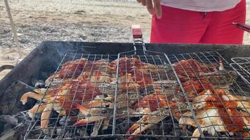 lato Visualizza Arabo capocuoco giri fresco Granchi cucinato su bbq griglia utilizzando bobina con spiaggia panorama nel Oman. gurman piatto preparazione video