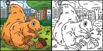 Squirrel Coloring Page Colored Illustration vector