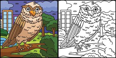 Owl Coloring Page Colored Illustration vector