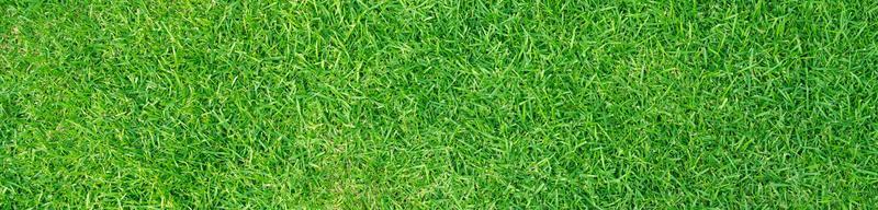 Artificial grass field meadow green. Top View Texture. photo