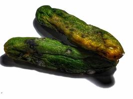 Isolated white photo of a cucumber that has shrunk, started to rot and has mold.