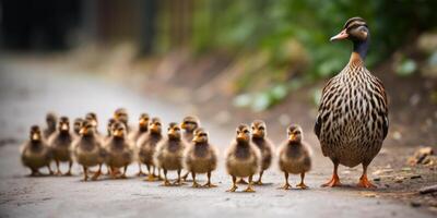 gracioso Pato pájaro familia caminando calle generativo ai foto