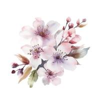 Cereza flores flor arreglo, en el estilo de ornamental acuarela, blanco blanco fondo, generar ai foto