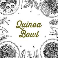 Quinoa bowl background. Hand drawn vector illustration in sketch style. Restaurant menu design
