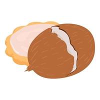 Coconut cookie icon isometric vector. Homemade shortbread cookie and big coconut vector