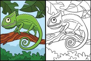 Chameleon Coloring Page Colored Illustration vector