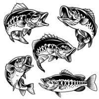 set of black and white of largemouth bass fish vector