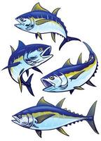 set of tuna fish in colors version vector