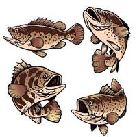 grouper fish drawing set collection vector