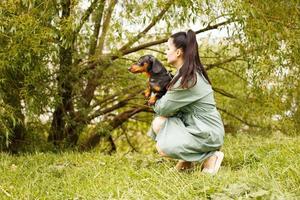 girl with her friend pet dog in the park. dachshund in the hands of his mistress photo