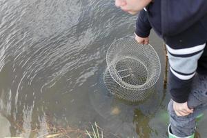 boy child fisherman lifts a fish net. Metal mesh cage is installed in the river water near the shore photo