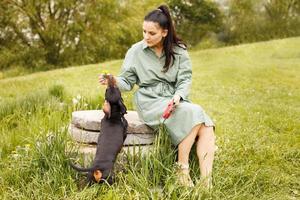 chica con su perro mascota en el parque. dachshund olfateando una flor de diente de león foto