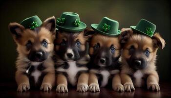 Adorable cute funny Shepherd breed puppy dogs wearing green St Patrick's Day hats. photo