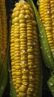 Fresh Corn seamless background, adorned with glistening droplets of water. Top down view, generat ai photo